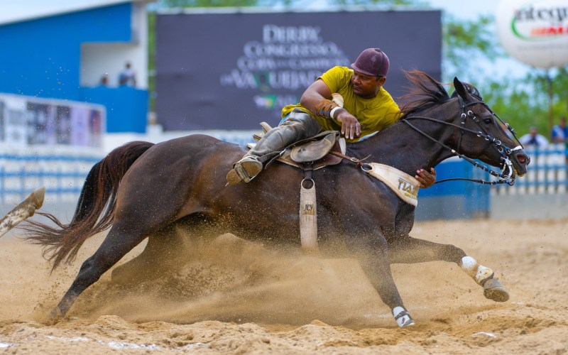 Vaquejada - Tradição e emoção